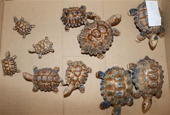 10 Wade tortoises